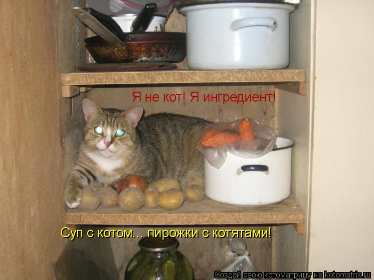 Я не кот! Я ингредиент! Суп с котом... пирожки с котятами!... Котоматрица: Я не кот! Я ингредиент! Суп с котом... пирожки с котятами!