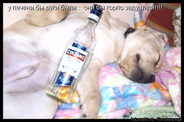 у печени бы руки были... они бы горло задушили!!!!... Котоматрица: у печени бы руки были... они бы горло задушили!!!!