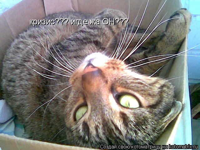 Котоматрица: кризис??? игде жа ОН???
