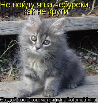 Не пойду я на чебуреки, как не крути... Котоматрица: Не пойду я на чебуреки, как не крути
