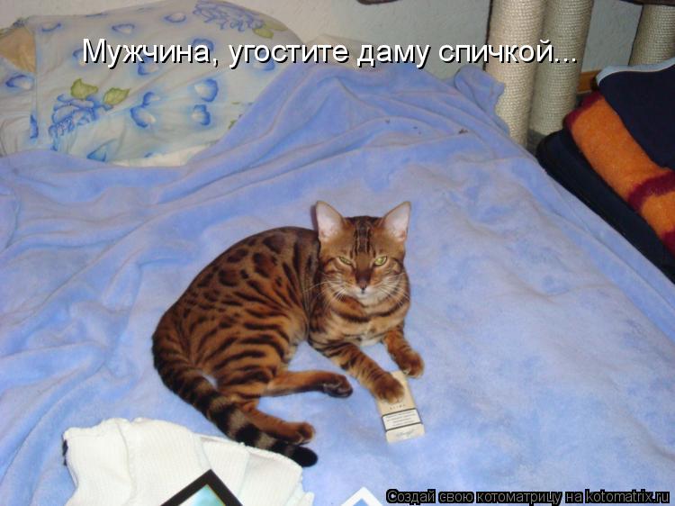 Мужчина, угостите даму спичкой...... Котоматрица: Мужчина, угостите даму спичкой...