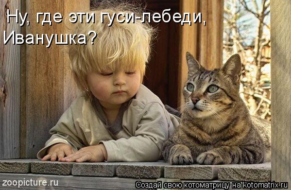 Котоматрица: Ну, где эти гуси-лебеди, Иванушка?