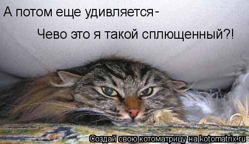 Котоматрица: А потом еще удивляется - Чево это я такой сплющенный?!