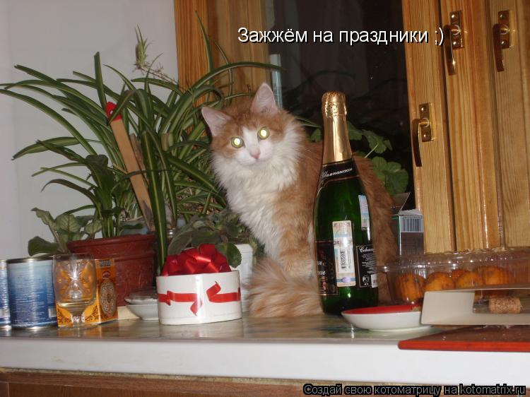 Зажжём на праздники ;)... Котоматрица: Зажжём на праздники ;)