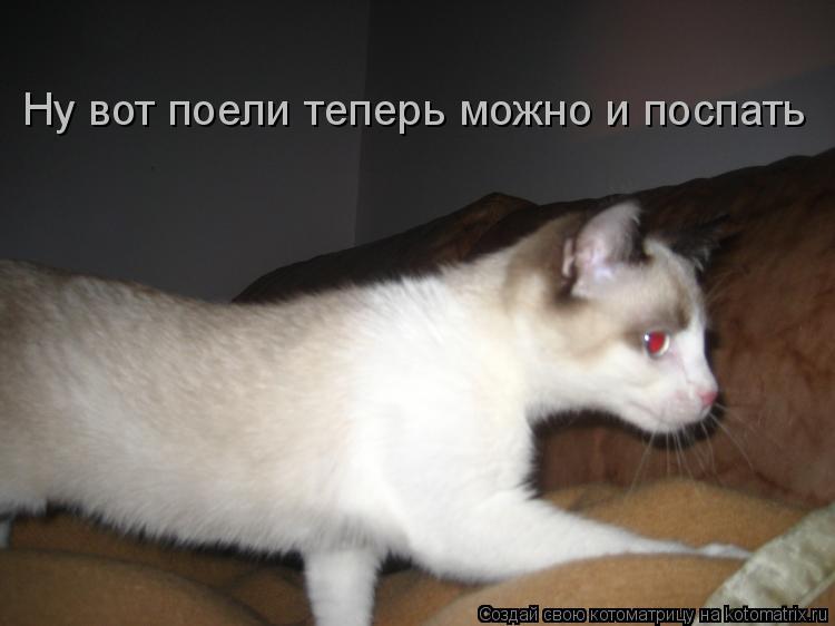 Котоматрица: Ну вот поели теперь можно и поспать