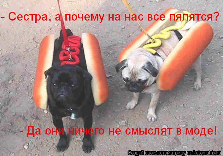 - Да они ничего не смыслят в моде! - Сестра, а почему на нас все пялятся?... Котоматрица: - Да они ничего не смыслят в моде! - Сестра, а почему на нас все пялятся?