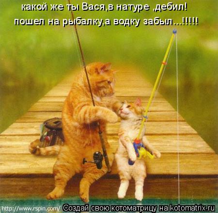 какой же ты Вася,в натуре ,дебил! пошел на рыбалку,а водку забыл...!!!!!... Котоматрица: какой же ты Вася,в натуре ,дебил! пошел на рыбалку,а водку забыл...!!!!!