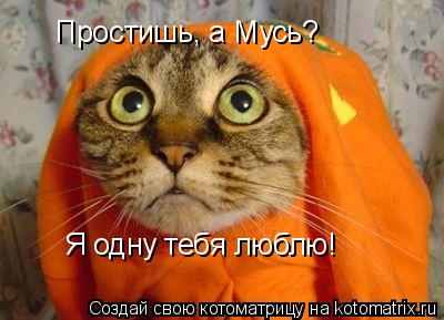 Простишь, а Мусь? Я одну тебя люблю!... Котоматрица: Простишь, а Мусь? Я одну тебя люблю!