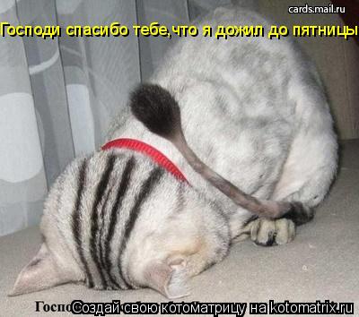 Котоматрица: Господи спасибо тебе,что я дожил до пятницы