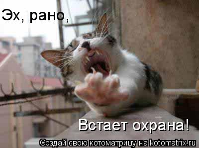 Эх, рано, Встает охрана!... Котоматрица: Эх, рано, Встает охрана!