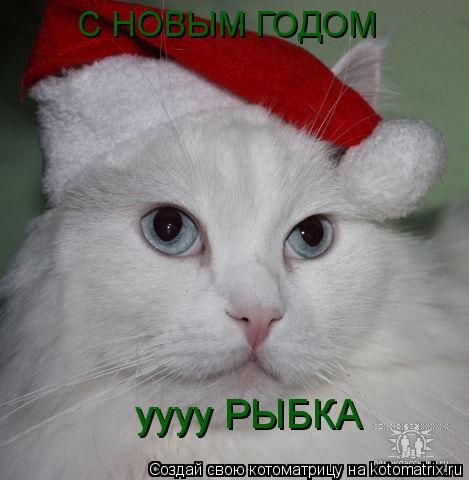 C НОВЫМ ГОДОМ уууу РЫБКА... Котоматрица: C НОВЫМ ГОДОМ уууу РЫБКА