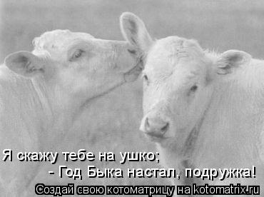 Я скажу тебе на ушко; - Год Быка настал, подружка!... Котоматрица: Я скажу тебе на ушко; - Год Быка настал, подружка!