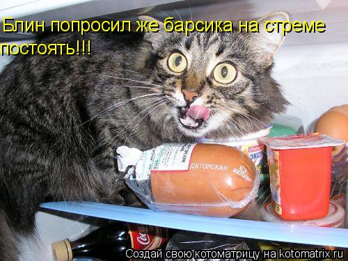 Блин попросил же барсика на стреме постоять!!! Блин попросил же барсика на стреме Блин попросил же ба... Котоматрица: Блин попросил же барсика на стреме постоять!!! Блин попросил же барсика на стреме Блин попросил же барсика на стреме постоять!!!