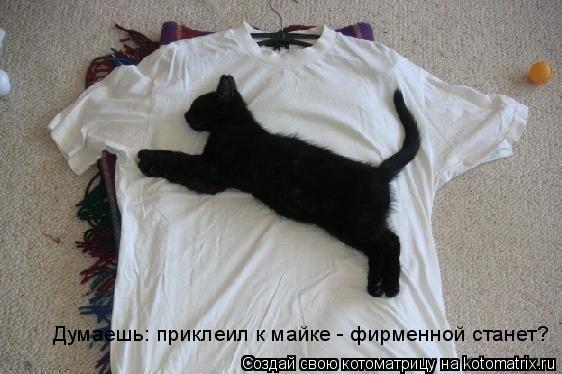 Думаешь: приклеил к майке - фирменной станет?... Котоматрица: Думаешь: приклеил к майке - фирменной станет?