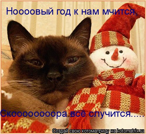 Ноооовый год к нам мчится, Скоооооооора всё случится........ Котоматрица: Ноооовый год к нам мчится, Скоооооооора всё случится.....