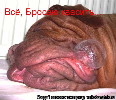 Котоматрица: Всё, Бросаю квасить....