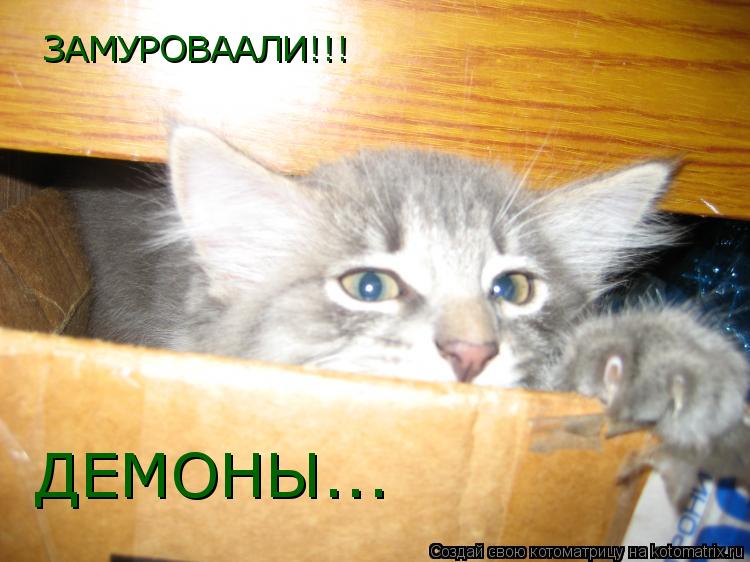ЗАМУРОВААЛИ!!! ДЕМОНЫ...... Котоматрица: ЗАМУРОВААЛИ!!! ДЕМОНЫ...