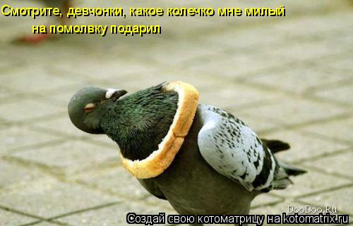 Смотрите, девчонки, какое колечко мне милый на помолвку подарил... Котоматрица: Смотрите, девчонки, какое колечко мне милый на помолвку подарил