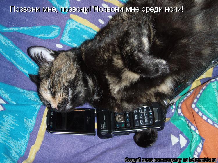 Котоматрица: Позвони мне, позвони! Позвони мне среди ночи!