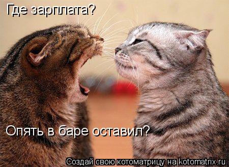 Где зарплата? Опять в баре оставил?... Котоматрица: Где зарплата? Опять в баре оставил?