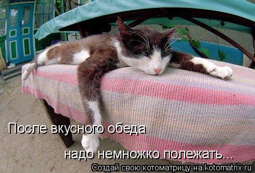 После вкусного обеда надо немножко полежать...... Котоматрица: После вкусного обеда надо немножко полежать...