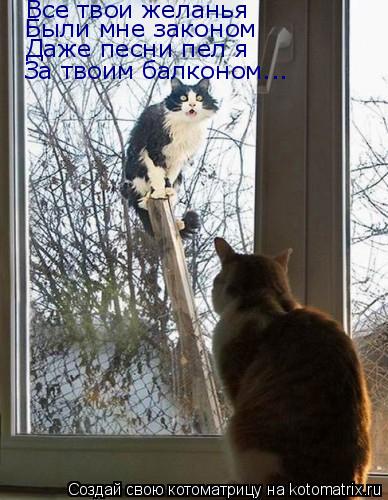 Все твои желанья Были мне законом Даже песни пел я За твоим балконом...... Котоматрица: Все твои желанья Были мне законом Даже песни пел я За твоим балконом...
