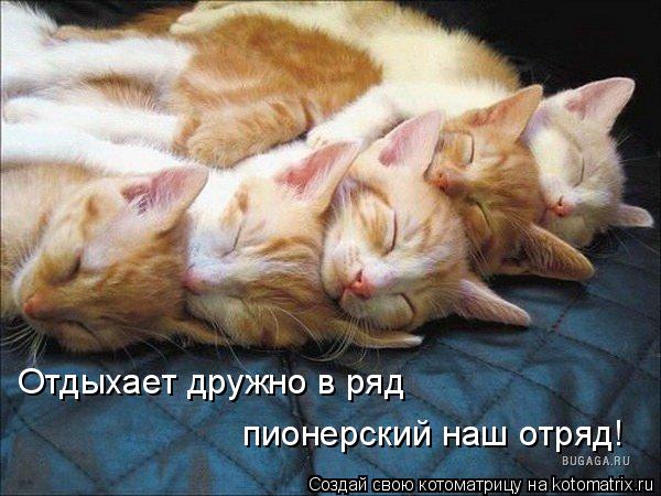 Котоматрица: Отдыхает дружно в ряд  пионерский наш отряд!