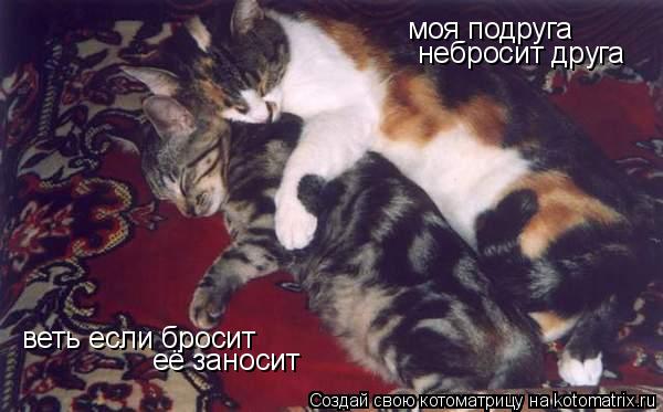 Котоматрица: моя подруга  небросит друга веть если бросит  её заносит
