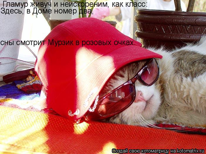 Гламур живуч и неискореним, как класс: Здесь, в Доме номер два, сны смотрит Мурзик в розовых очках.... Котоматрица: Гламур живуч и неискореним, как класс: Здесь, в Доме номер два, сны смотрит Мурзик в розовых очках.