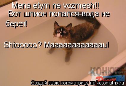 Mena etym ne vozmesh!! Вот шпион попался-вода не берет ! Shtooooo? Maaaaaaaaaaaau!... Котоматрица: Mena etym ne vozmesh!! Вот шпион попался-вода не берет ! Shtooooo? Maaaaaaaaaaaau!