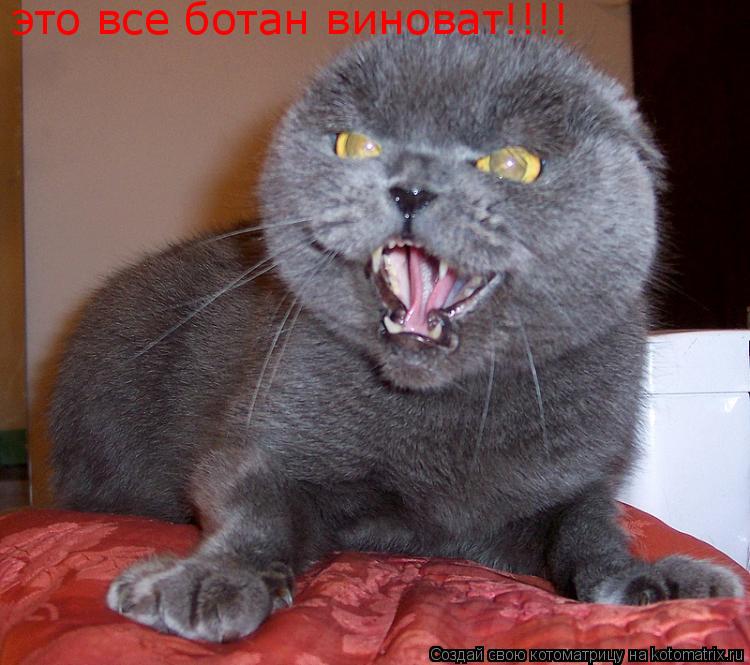 это все ботан виноват!!!!... Котоматрица: это все ботан виноват!!!!