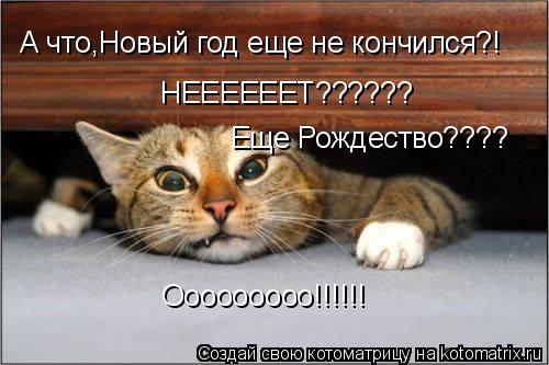 А что,Новый год еще не кончился?! НЕЕЕЕЕЕТ?????? Еще Рождество???? Ооооооооо!!!!!!... Котоматрица: А что,Новый год еще не кончился?! НЕЕЕЕЕЕТ?????? Еще Рождество???? Ооооооооо!!!!!!