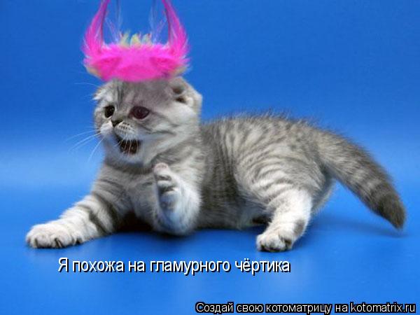 Я похожа на гламурного чёртика... Котоматрица: Я похожа на гламурного чёртика