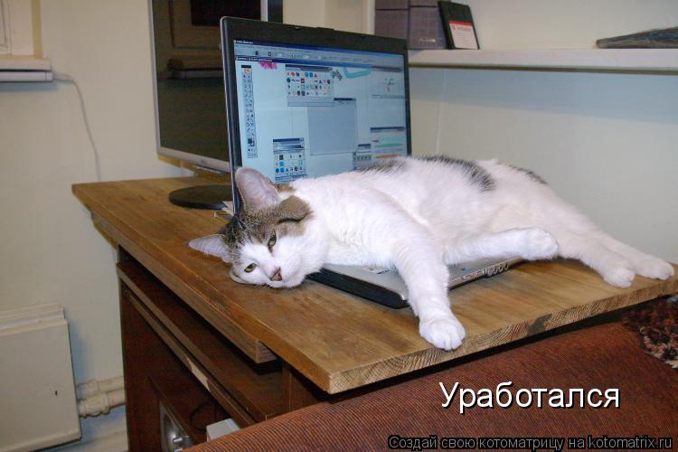 Уработался... Котоматрица: Уработался