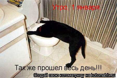 Котоматрица: Утро, 1 января. Так же прошел весь день!!!