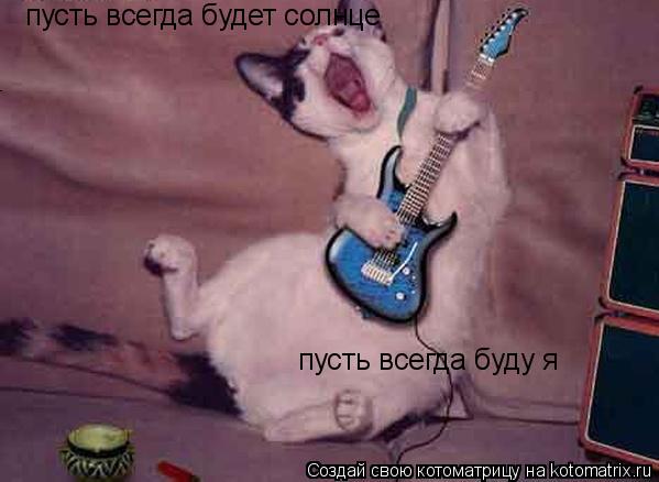 Котоматрица: пусть всегда будет солнце пусть всегда буду я