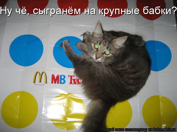 Ну чё, сыгранём на крупные бабки???... Котоматрица: Ну чё, сыгранём на крупные бабки???