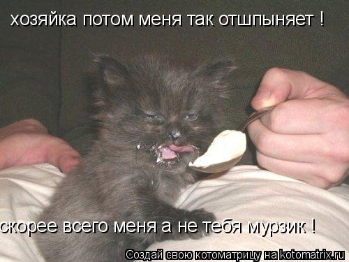 хозяйка потом меня так отшпыняет ! скорее всего меня а не тебя мурзик !... Котоматрица: хозяйка потом меня так отшпыняет ! скорее всего меня а не тебя мурзик !