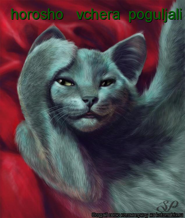 horosho vchera poguljali... Котоматрица: horosho vchera poguljali