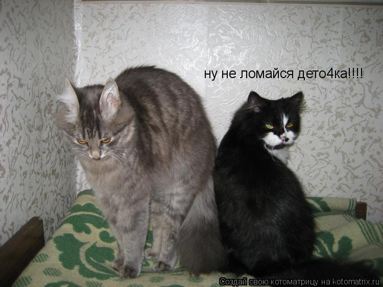 ну не ломайся дето4ка!!!!... Котоматрица: ну не ломайся дето4ка!!!!