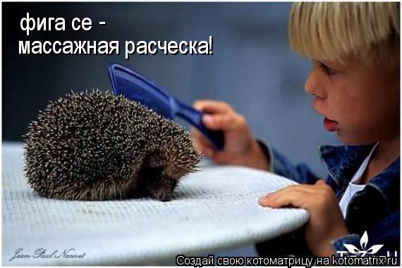 Котоматрица: фига се массажная расческа! -