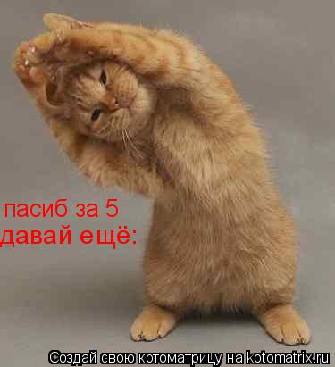 пасиб за 5 давай ещё:... Котоматрица: пасиб за 5 давай ещё: