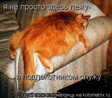 Котоматрица: я не просто здесь лежу- я подлокотником служу