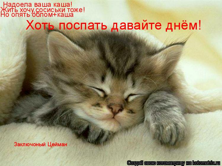 Надоела ваша каша! Жить хочу,сосиськи тоже! Но опять облом+каша Хоть поспать давайте днём! Заключоный... Котоматрица: Надоела ваша каша! Жить хочу,сосиськи тоже! Но опять облом+каша Хоть поспать давайте днём! Заключоный Цейман