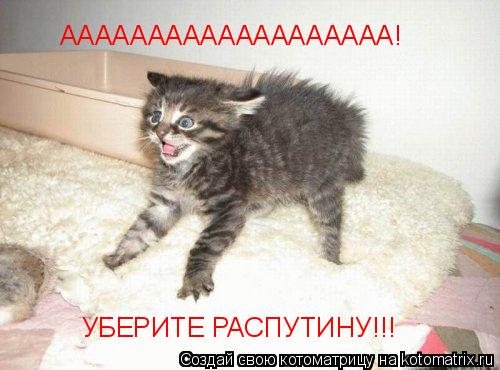 ААААААААААААААААААА! УБЕРИТЕ РАСПУТИНУ!!!... Котоматрица: ААААААААААААААААААА! УБЕРИТЕ РАСПУТИНУ!!!