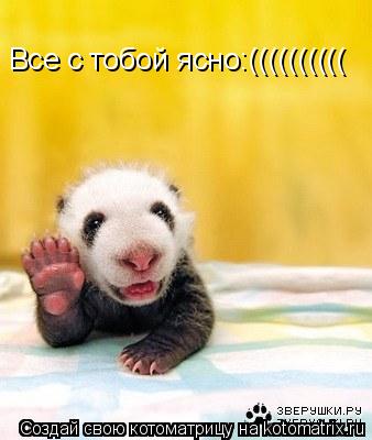 Все с тобой ясно:((((((((((... Котоматрица: Все с тобой ясно:((((((((((
