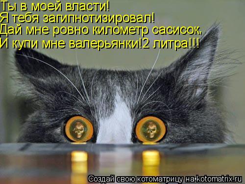 Ты в моей власти! Я тебя загипнотизировал! Дай мне ровно километр сасисок , И купи мне валерьянки!2 л... Котоматрица: Ты в моей власти! Я тебя загипнотизировал! Дай мне ровно километр сасисок , И купи мне валерьянки!2 литра!!!