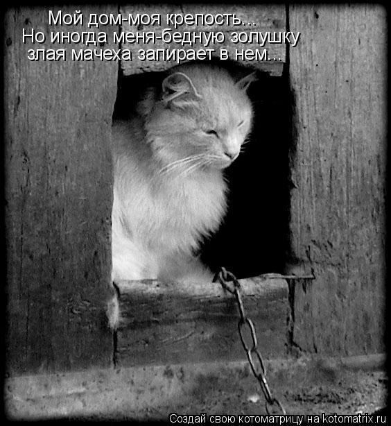 Мой дом-моя крепость... Но иногда меня-бедную золушку злая мачеха запирает в нем...... Котоматрица: Мой дом-моя крепость... Но иногда меня-бедную золушку злая мачеха запирает в нем...