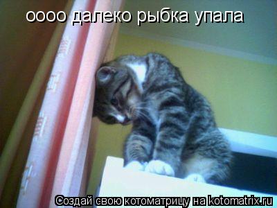оооо далеко рыбка упала... Котоматрица: оооо далеко рыбка упала