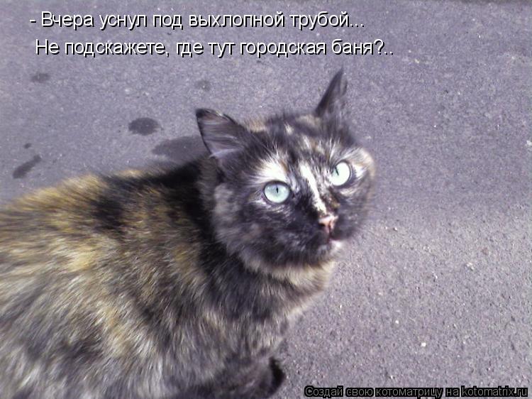 - Вчера уснул под выхлопной трубой... Не подскажете, где тут городская баня?..... Котоматрица: - Вчера уснул под выхлопной трубой... Не подскажете, где тут городская баня?..